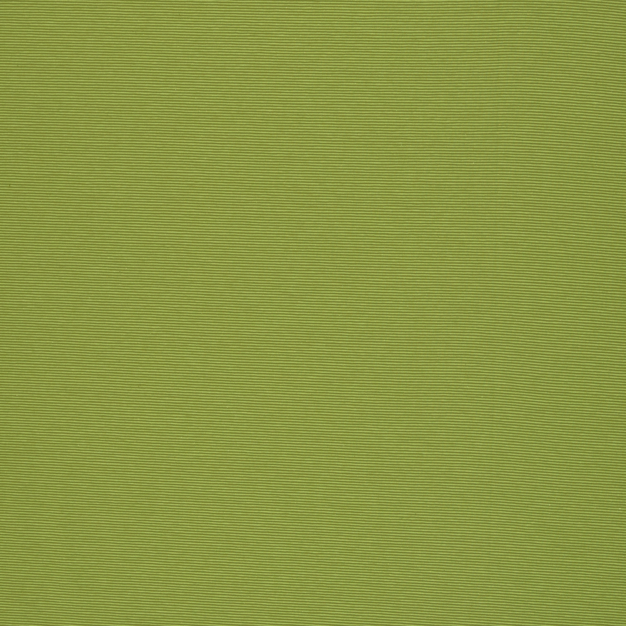 Ringeljersey Bella kiwi-hellgrün gestreift