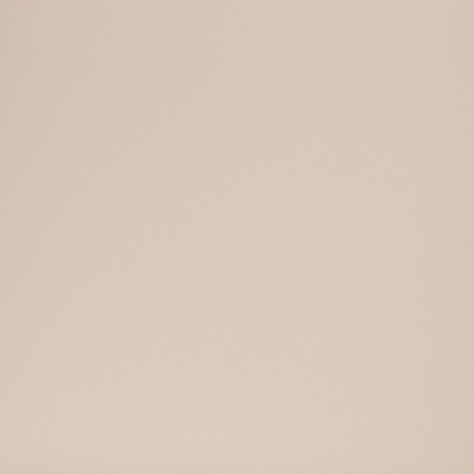 Sweat Eike naturweiss